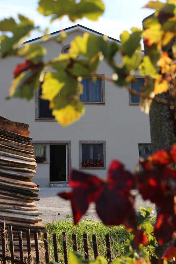 סן מאסימו Le Canoniche Nel Matese Albergo Diffuso מראה חיצוני תמונה